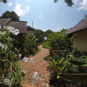 Deluxe Bungalow